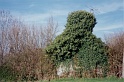 20010401 LE BOSQUET 09